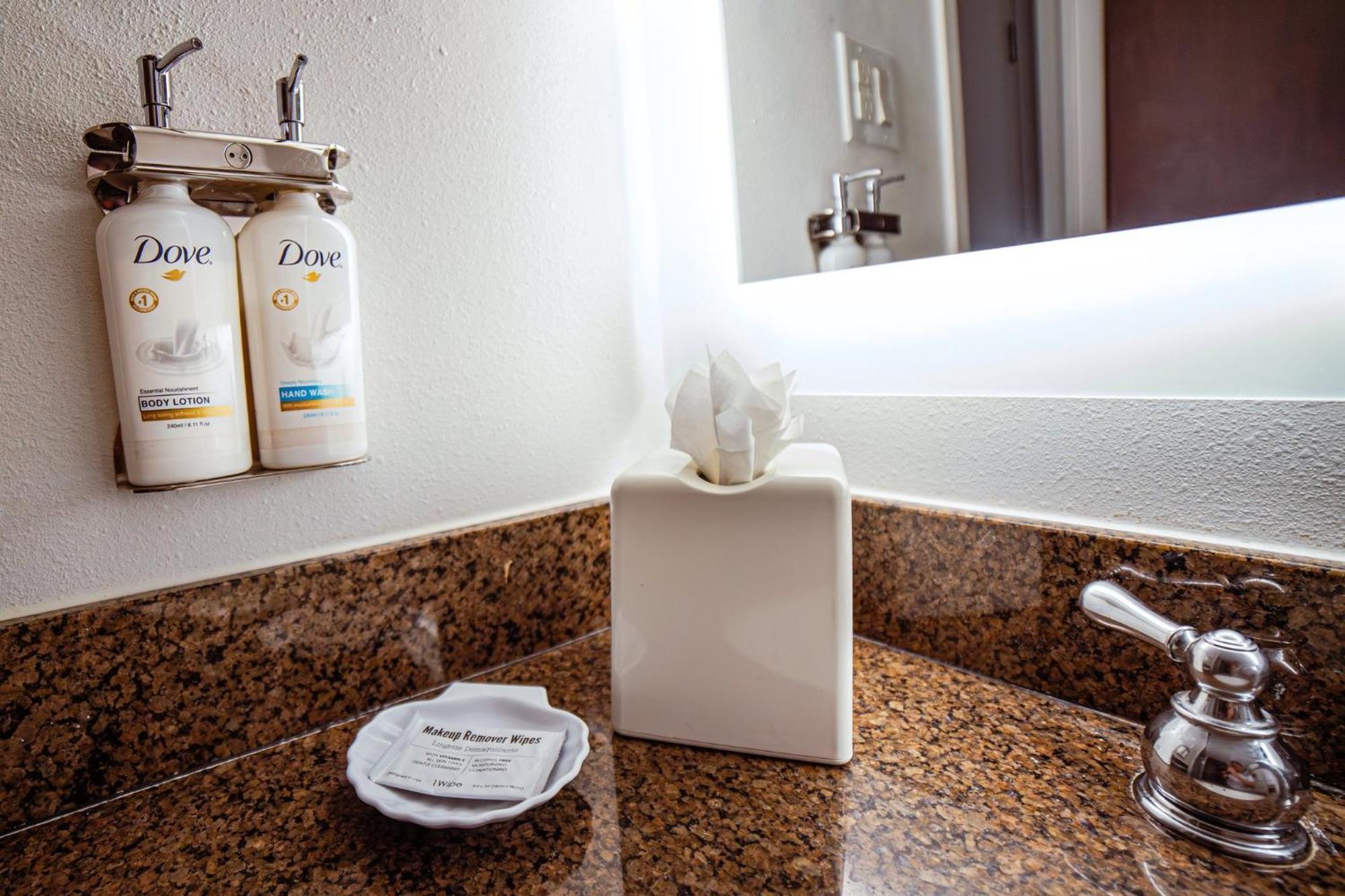 Holiday Inn Irving Las Colinas By Ihg Extérieur photo
